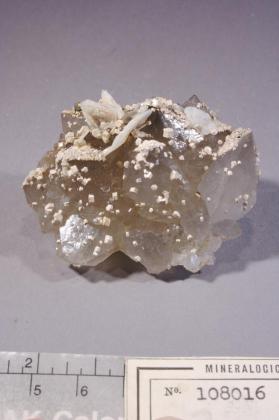 FLUORAPATITE