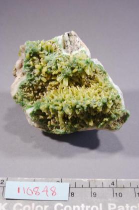 Pyromorphite