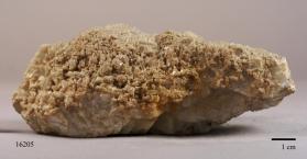 Bermanite