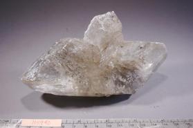 Gypsum