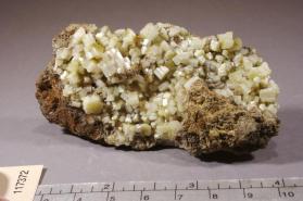 CERUSSITE