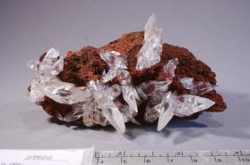 Carminite