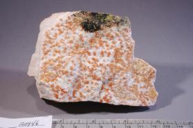 Montgomeryite
