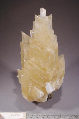 Gypsum