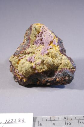 Strengite with Beraunite and Cacoxenite and Laubmanite