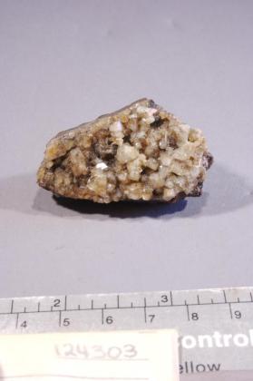 Wardite