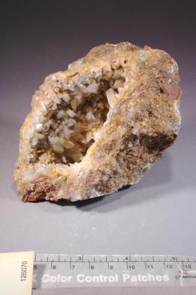 Creedite