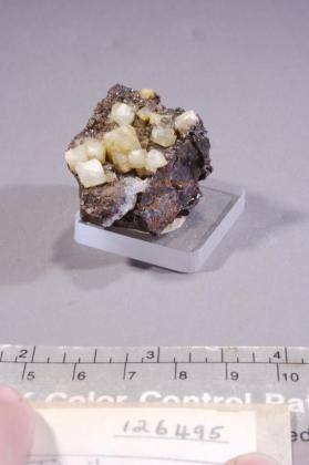 Wardite