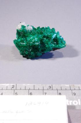 Adamite with Quartz