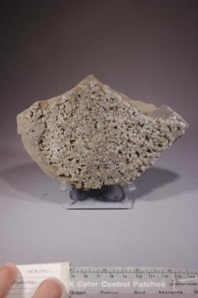 Gypsum