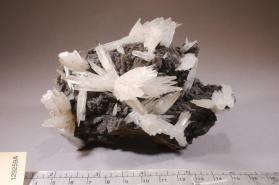 ARAGONITE