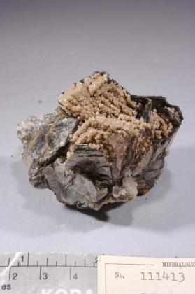 SCHEELITE