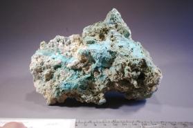 Coeruleolactite