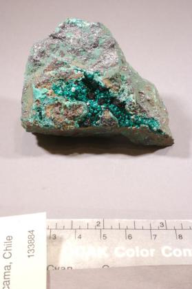 Paratacamite