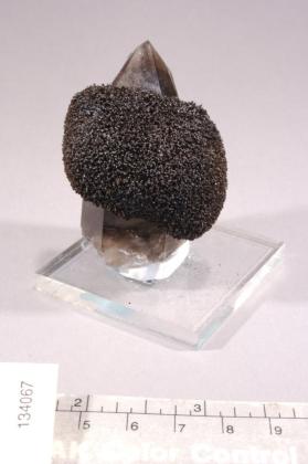 Goethite with Quartz