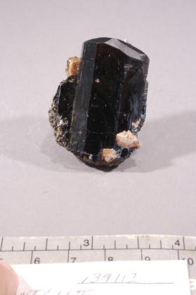 Tantalite-(Mn)