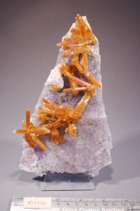 Gypsum with Quartz