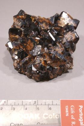 CASSITERITE with Tourmaline Group