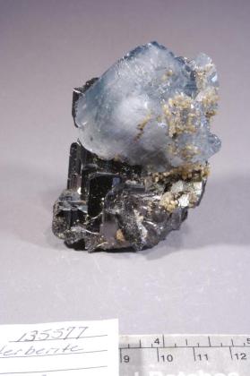 FLUORAPATITE with Ferberite and Muscovite