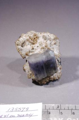 FLUORAPATITE with Muscovite