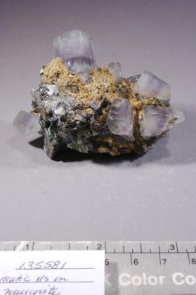 FLUORAPATITE