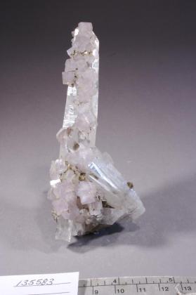 FLUORAPATITE with Quartz