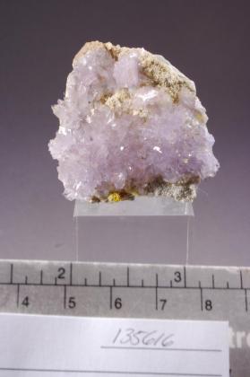 Creedite