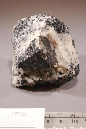 Hibonite