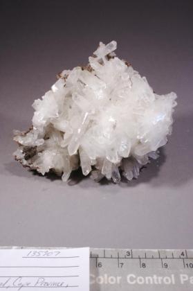 Celestine