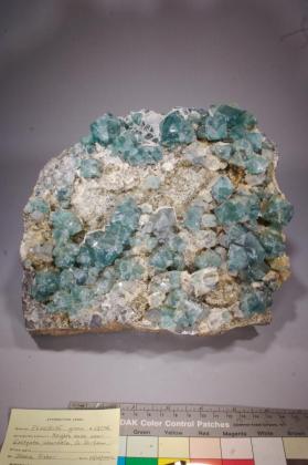 FLUORITE with Galena