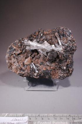 Gypsum