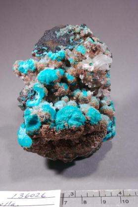 Gypsum with CHRYSOCOLLA