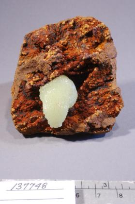 Adamite