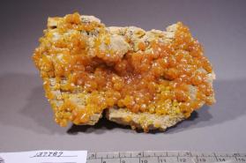 campylite