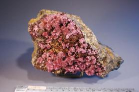 cobalt-tsumcorite with Erythrite