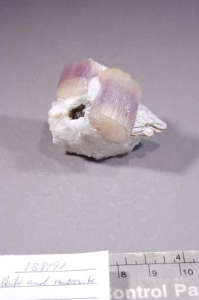 FLUORAPATITE with Albite and FLUORITE and Muscovite