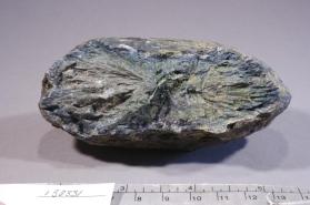 Maricite