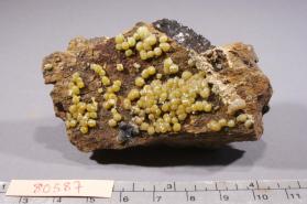 Mimetite
