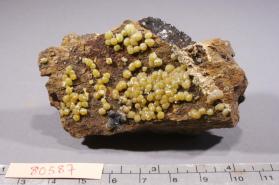 Mimetite