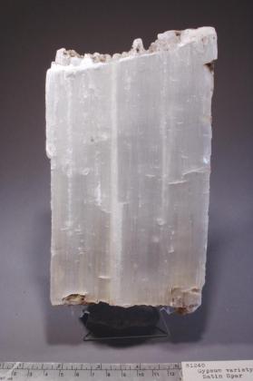 Gypsum