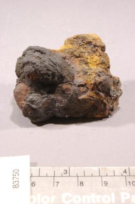 Plattnerite