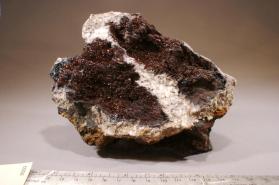 Lepidocrocite with Goethite and Quartz