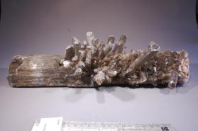 Gypsum