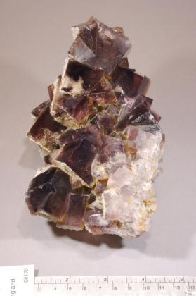 FLUORITE