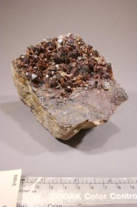 CASSITERITE