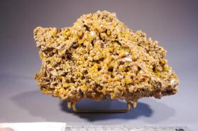 Wulfenite