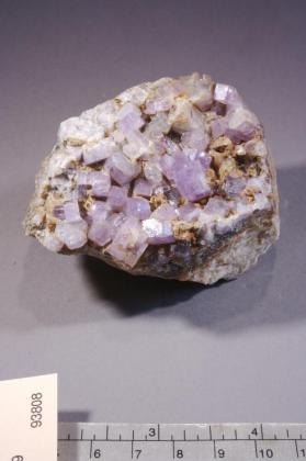 FLUORAPATITE