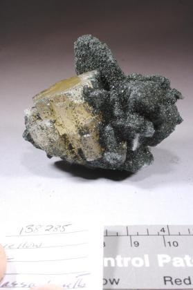 FLUORAPATITE with Albite and Chlorite