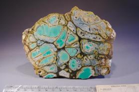 nodule
