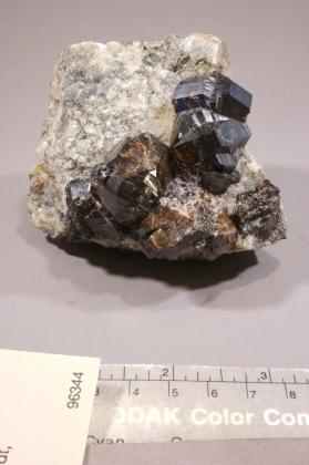 CASSITERITE